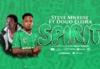 Steve Mweusi Ft Dogo Elisha – Spirit