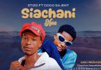 Stizo Ft Mdogo Sajent - Siachani Nae