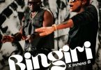 Willy Paul Ft Innoss'B - Bingiri