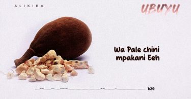 Alikiba - Ubuyu (Karaoke Version)