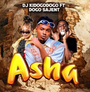 Dj Kidogodogo Ft Dogo Sajent – Asha