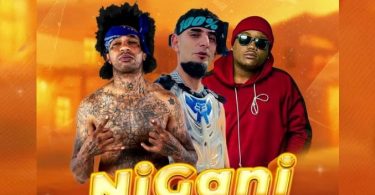 Fido Vato Ft Dully Sykes & Jaju Nusty – Nigani