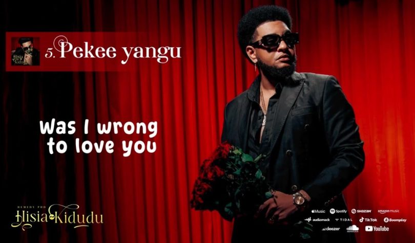 Hemedy PHD - Peke Yangu