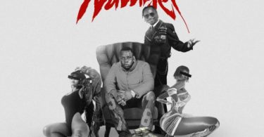 Seneta Worldwide Ft Country Wizzy – Plate Number