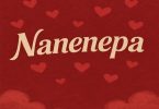 Wyse TZ – Nanenepa