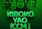 Billnass - Kiboko Yao (CCM)