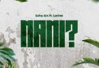 Echo 254 Ft Latinoh – Nani