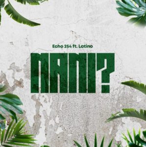 Echo 254 Ft Latinoh – Nani