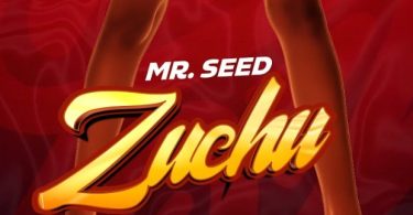 Mr Seed – Zuchu