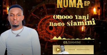 Sani Boy - Siamini