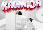 Sholo Mwamba – Kawaida
