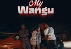 Lamapozz Ft Amber Lulu & Country Wizzy - My Wangu