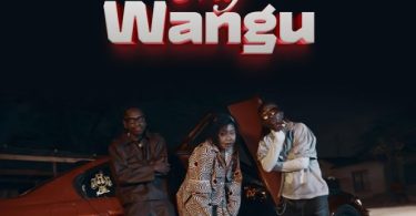 Lamapozz Ft Amber Lulu & Country Wizzy - My Wangu