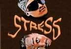 Platform Ft Ibraah – Stress