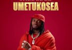 Shededee - Umetukosea Diamond