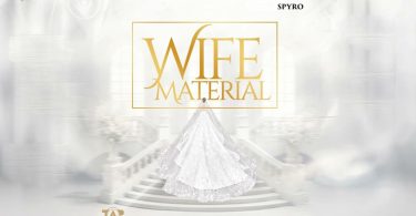 Spyro - Wife Material