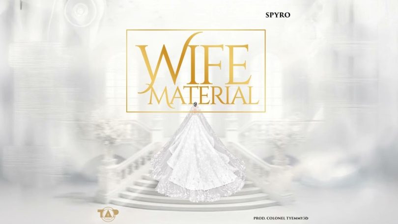Spyro - Wife Material