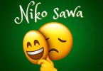 Udoo - Niko Sawa