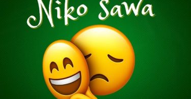 Udoo - Niko Sawa