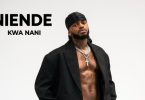 Diamond Platnumz – Niende Kwa Nani