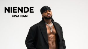 Diamond Platnumz – Niende Kwa Nani