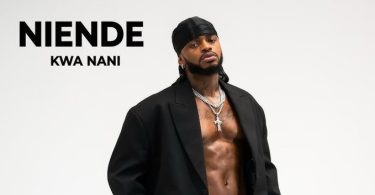Diamond Platnumz – Niende Kwa Nani