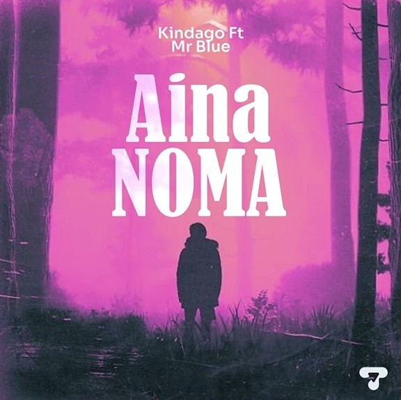 Kindago Ft Mr Blue - Aina Noma