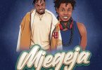 Kisamaki Ft Chege – Mjegeja