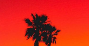 Loui Ft Sami – Shoo