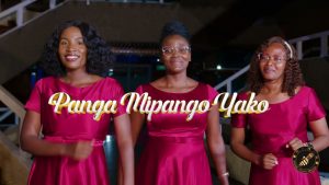 Msanii Music Group - Panga Mipango Yako