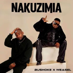 Bushoke Ft Weasel – Nakuzimia