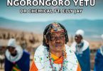 Dr Chemical - Ngorongoro Yetu