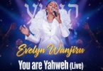 Evelyn Wanjiru – You Are Yahweh