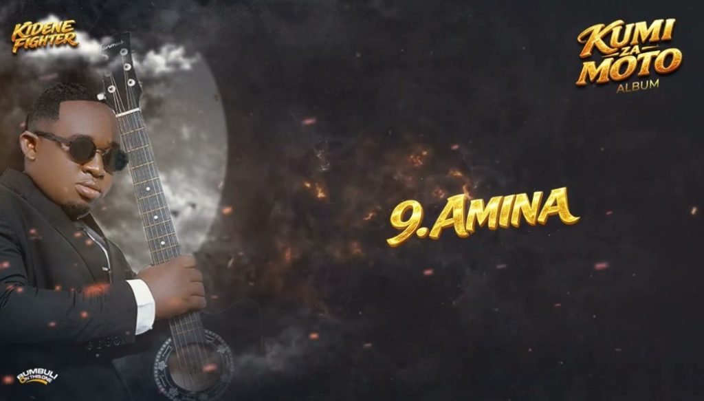 Kidene Fighter - Amina