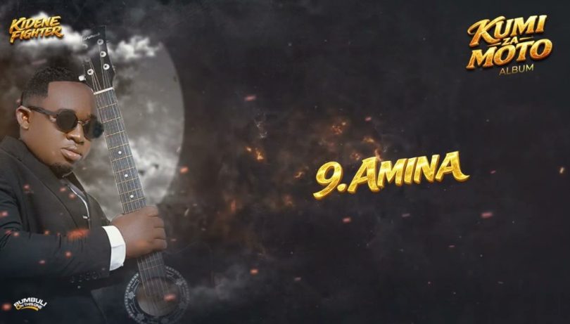 Kidene Fighter - Amina