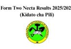 Matokeo ya Kidato cha Pili 20252026 (FTNA Results)