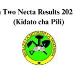 Matokeo ya Kidato cha Pili 20252026 (FTNA Results)