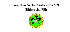 Matokeo ya Kidato cha Pili 20252026 (FTNA Results)