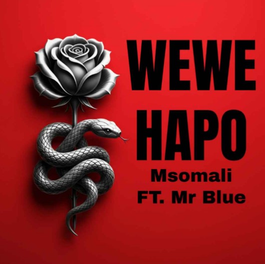 Msomali Ft Mr Blue – Wewe Hapo