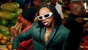 VIDEO Dogo Janja Ft Aslay - One Day