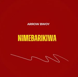 Arrow Bwoy – Nimebarikiwa