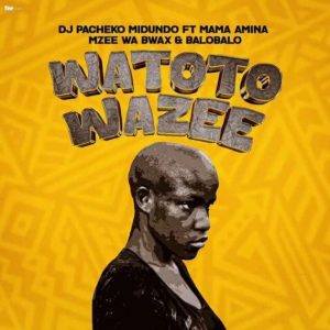 DJ Pacheko Midundo Ft Mama Amina x Mzee wa Bwax & BaroBaro – Watoto Wazee