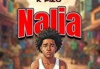 K Pizo – Nalia