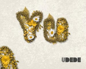 Udede X Sanja Kong - Yu