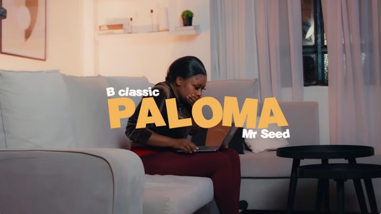 B Classic X Mr Seed  - Paloma
