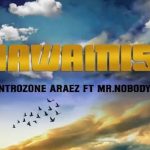 Dentrozone Araez Ft Mr. Nobody Tz - Nawamisi