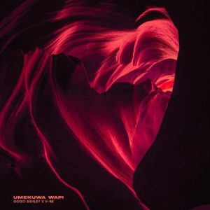 Gogo Ashley & V-BE - Umekuwa Wapi