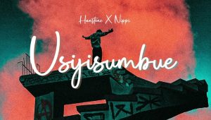 Hanstone Ft Nippi – Usijisumbue