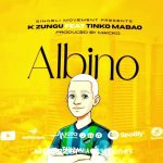 K Zungu Ft Tinko Mabao - Albino