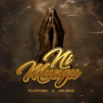 Platform Ft Mr Seed – Ni Mungu